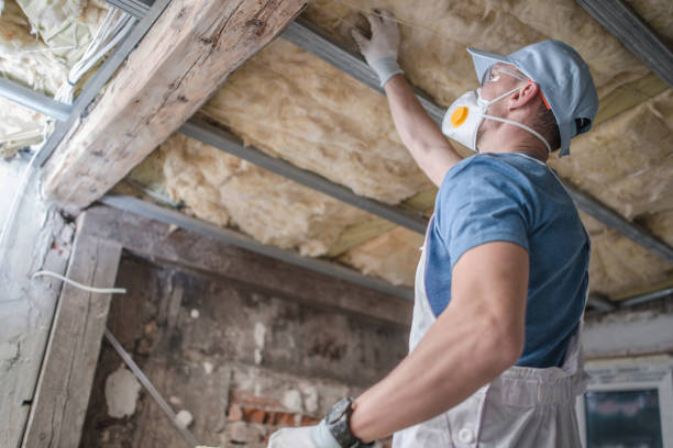 Types of Insulation We Offer in Remsen, IA