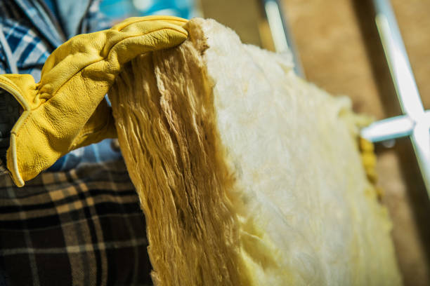 Best Eco-Friendly Insulation in Remsen, IA