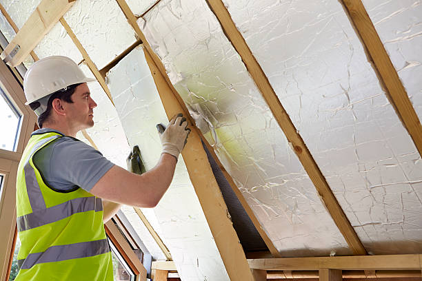 Best Spray Foam Insulation in Remsen, IA